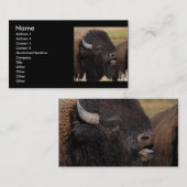 profiel of visitekaartje, gifsteen visitekaartje (Voorkant / Achterkant)