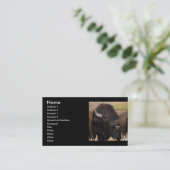 profiel of visitekaartje, gifsteen visitekaartje (Staand voorkant)