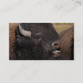 profiel of visitekaartje, gifsteen visitekaartje (Achterkant)