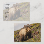 profiel of visitekaartje, grizzly beer visitekaartje (Voorkant / Achterkant)