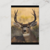 profiel of visitekaartje, herten visitekaartje (Achterkant)