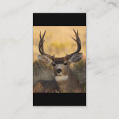 profiel of visitekaartje, herten visitekaartje (Achterkant)