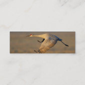 profiel of visitekaartje, kraan mini visitekaartje (Achterkant)