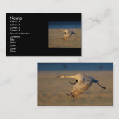 profiel of visitekaartje, kraan visitekaartje (Voorkant / Achterkant)