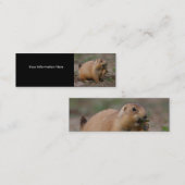profiel of visitekaartje, prairiehond mini visitekaartje (Voorkant / Achterkant)