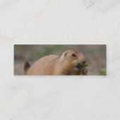 profiel of visitekaartje, prairiehond mini visitekaartje (Achterkant)