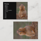 profiel of visitekaartje, prairiehond visitekaartje (Voorkant / Achterkant)