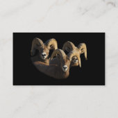 profiel of visitekaartje, rammen visitekaartje (Achterkant)