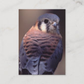 profiel of visitekaartje, vaten visitekaartje (Achterkant)