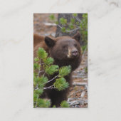 profiel of visitekaartje, zwart beer visitekaartje (Achterkant)