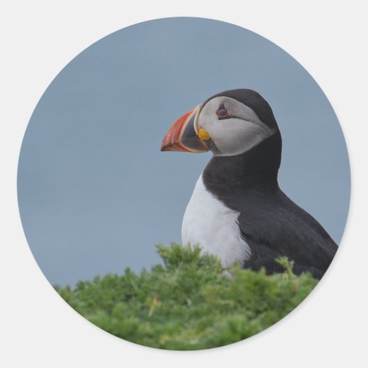 Profiel Puffin Ronde Sticker (Voorkant)