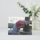 Profiel Turkije Briefkaart (Staand voorkant)