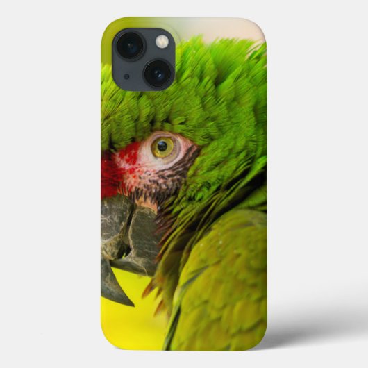 Profiel van ara bij de Santa Barbara Zoo Case-Mate iPhone Case (Achterkant)