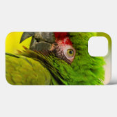Profiel van ara bij de Santa Barbara Zoo Case-Mate iPhone Case (Achterkant (horizontaal))