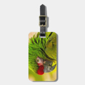 Profiel van ara bij Santa Barbara Zoo Bagagelabel (Voorkant verticaal)