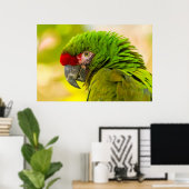 Profiel van ara bij Santa Barbara Zoo Poster (Thuiskantoor)