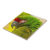 Profiel van ara bij Santa Barbara Zoo Tegeltje (Zijkant)