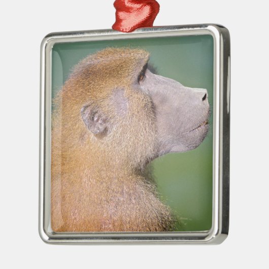 Profiel van babon (Papio) op de groene ba Metalen Ornament (Links)