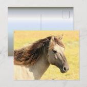 Profiel van beige paarden briefkaart (Voorkant / Achterkant)