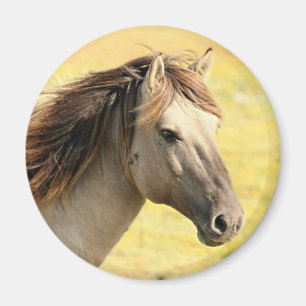 Profiel van beige paarden magneet