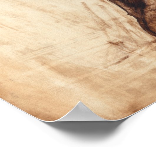 Profiel van bruine wilde paarden poster (Hoek)