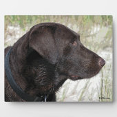 Profiel van chocolade-labrador fotoplaat (Voorkant)