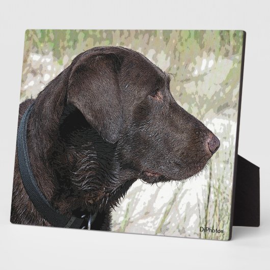 Profiel van chocolade-labrador fotoplaat (Zijkant)