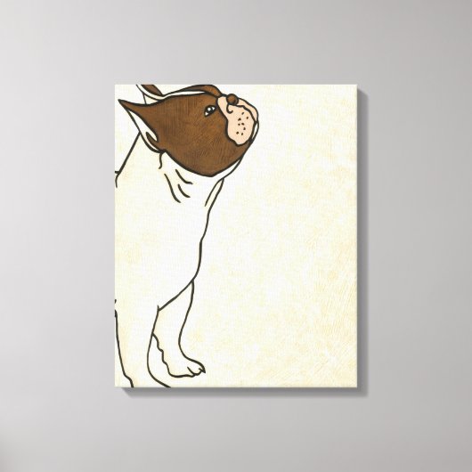 Profiel van de Franse Bulldog die omhoog kijkt Canvas Afdruk (Voorkant)