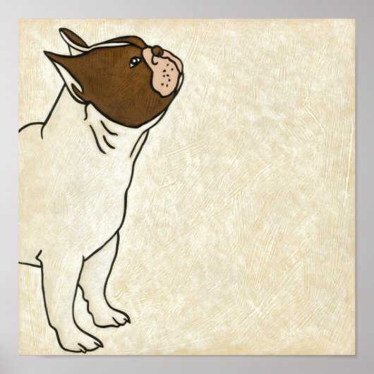 Profiel van de Franse Bulldog die omhoog kijkt Poster (Voorkant)