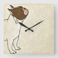 Profiel van de Franse Bulldog die omhoog kijkt