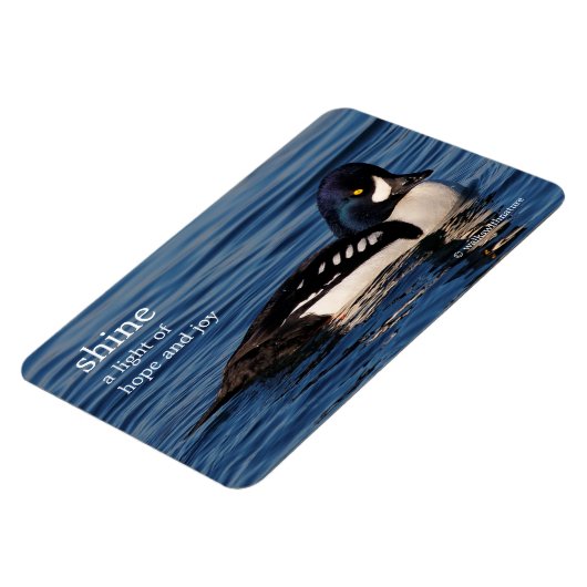 Profiel van de Goldenoog van Barrow Magneet (Linkerzijde)