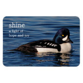 Profiel van de Goldenoog van Barrow Magneet (Horizontaal)