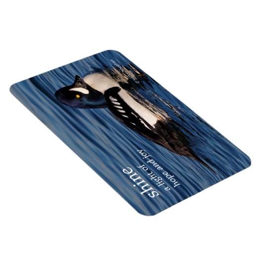 Profiel van de Goldenoog van Barrow Magneet (Rechterzijde)