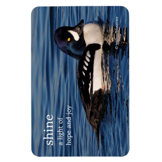 Profiel van de Goldenoog van Barrow Magneet (Verticaal)