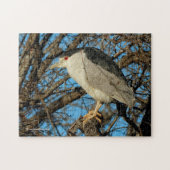 Profiel van een Black-Crowned Night Heron Legpuzzel (Horizontaal)