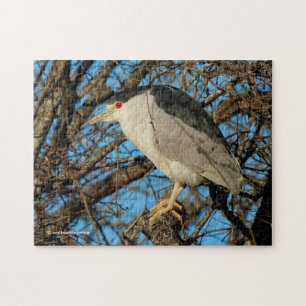 Profiel van een Black-Crowned Night Heron Legpuzzel