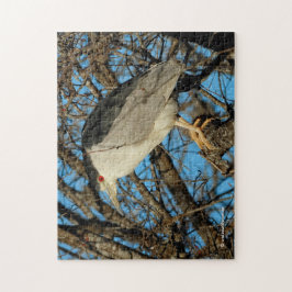 Profiel van een Black-Crowned Night Heron Legpuzzel