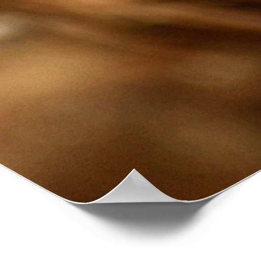 Profiel van een Canadees Lynx Poster (Hoek)