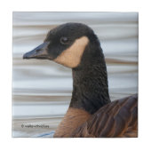 Profiel van een Cosende gans Tegeltje (Voorkant)