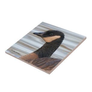 Profiel van een Cosende gans Tegeltje