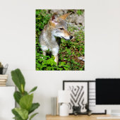 Profiel van een Coyote Pup Poster (Thuiskantoor)