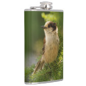 Profiel van een Cute Gray Jay / Whiskeyjack Heupfles (Rechts)