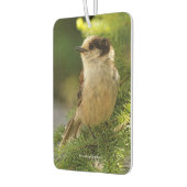 Profiel van een Cute Gray Jay / Whiskeyjack Luchtverfrisser (Links)