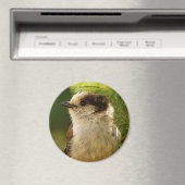 Profiel van een Cute Gray Jay / Whiskeyjack Magneet (Insitu (Vaatwasser))