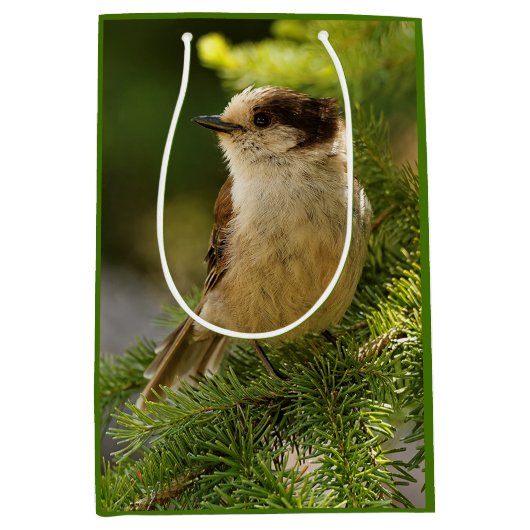 Profiel van een Cute Gray Jay / Whiskeyjack Medium Cadeauzakje (Voorkant)