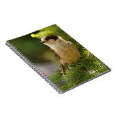 Profiel van een Cute Gray Jay / Whiskeyjack Notitieboek (Rechterzijde)