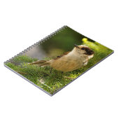 Profiel van een Cute Gray Jay / Whiskeyjack Notitieboek (Linkerzijde)