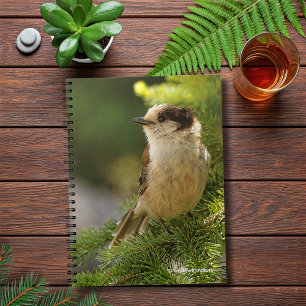 Profiel van een Cute Gray Jay / Whiskeyjack Notitieboek