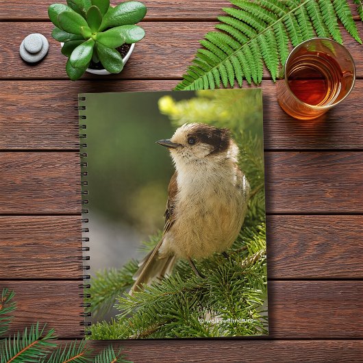 Profiel van een Cute Gray Jay / Whiskeyjack Notitieboek