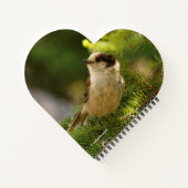 Profiel van een Cute Gray Jay / Whiskeyjack Notitieboek (Achterkant)